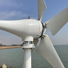 NINILADY New Arrivel Low Noise 600W 12V 24V 48V Wind Turbine 5 Blades with MPPT Controller Wind Generator for Home Free Energy (24v with Controller)