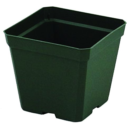 Greenhouse Pots - 4 inch Square - 3 1/2 inch Deep Pots - Green - Plastic - Case of 846 by Growers Solution