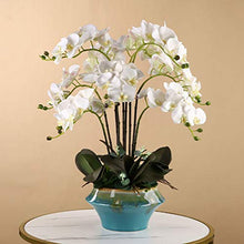 QQWW Artificial Phalaenopsis Orchid Bonsai Faux Flowers with Vase Flowers Arrangement 9 Head PU Bonsai for Home Office Table Decor (Color : White)