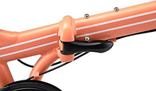 ZiZZO Forte Heavy Duty Folding Bike Coral