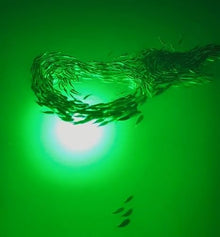 Incredible Underwater LED Lighting Mega-Watt Underwater Dock Light Red