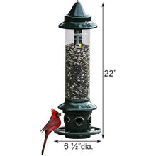 Brome,Squirrel Buster Plus 6"x6"x28" (w/Hanger) Wild Bird Feeder with Cardinal Ring and 6 Feeding Ports, 5.1lb Seed Capacity, 2 Pack
