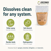 Greenway Biotech, Inc. Chelated Iron EDTA 13% Fertilizer - 100% Water Soluble Micronutrient for Plants, Lawns, Hydroponics - Corrects Iron Chlorosis & Yellow Leaves - Made in USA - 25 Pounds