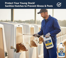 Eliminator +Plus – Organic Enzyme Insecticide & Fungicide for Livestock, Poultry & Farms – Safe, Non-Toxic Fly Spray, Mite Control & Fungus Prevention, Natural, Biodegradable, OMRI Listed