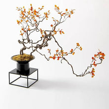 Artificial Bonsai Tree Chinese Zen Autumn Leaf Berry Dried Branch Flower Art Bonsai Ornament Living Room Villa Wabi Sabi Wind Simulation Flower Office Decoration Bonsai