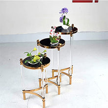 BSNANCA Acrylic Plant Stand for Indoor Balcony and Living Room Modern Stainless Steel Flower Pot Shelf for Hotel Cafe and Office Decor