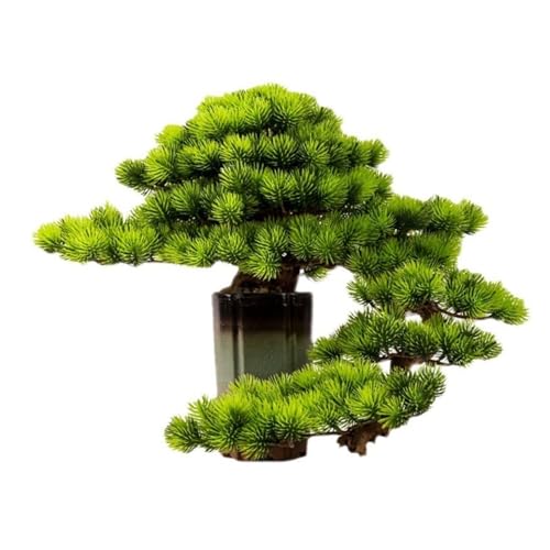 YXIANG56Q Fake Plants Indoor Fake Tree Potted Plant Ornaments Desktop Jewelry Entrance Decoration Simulation Tree Decoration High-Grade Artificial Bonsai Bonsai Tree