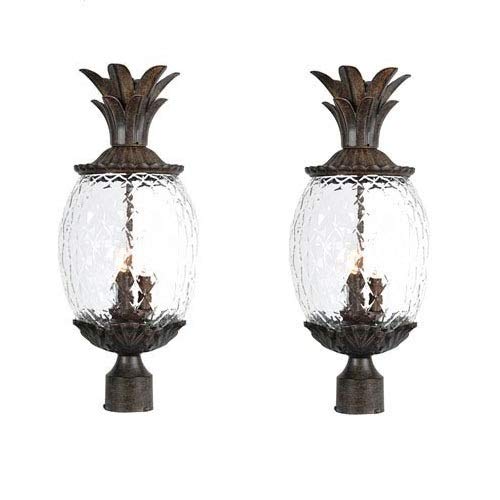 Acclaim VC-7517BC-2 Lanai Collection 3 Post Mount Outdoor Light Fixture, 2 Pack-Black Coral