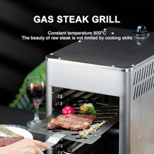 Professional 800℃ Constant Temperature Steak Oven Grill, Commercial Multi-Layer Steak Oven for Pizza, Salmon, Fruits and Vegetables(NPJ003G)