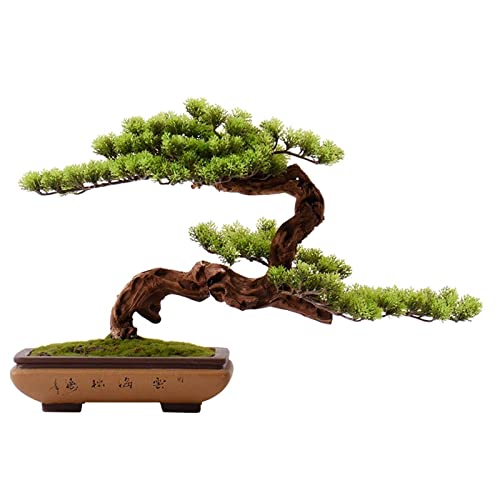CLoxks Artificial Bonsai Artificial Plants Bonsai Tree Indoor Wood Welcoming Pine Bonsai Zen Decorative Bonsai with Ceramic Pots Living Room Corridor Decor for Home Office