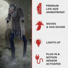 Haunted Hill Farm 7-ft. Tall The Towering Werewolf Svi Premium Halloween Plug-in Black