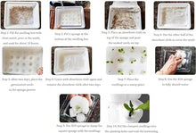 FLTRGO Hydroponics Growing System,Indoor herb Garden,hydroponic Growing Kits & Systems,Vegetables hydroponic Grow kit,with Hydrating Pump, Adapter, Net Pots.