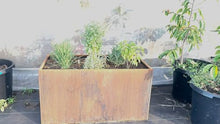 Extra Wide Corten Steel Planter Trough