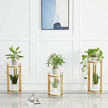 Bonsai Pedestal Vase Pedestal Stands Nordic Wrought Iron Plant Rack Simple Living Room Built-in Rack Light Luxury Floor-to-ceiling Marble Countertop Flower Pot Rack Planter Stand Plant Holder ( Color