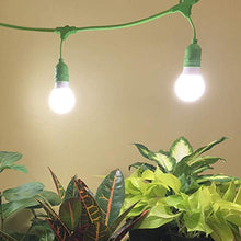Miracle LED Smokephonics Under the Canopy Indoor Grow Light Kit - Double Plant Yield - Full Spectrum 150W Replacement Grow Bulbs & 2-Socket Corded Fixture with SproutMatic Timer (8-Pack)