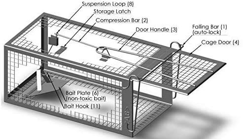 AB Traps Humane Live Animal Trap Cage for Rats, Mice, and Squirrels - Small 10.5" x 5.5" x 4.5" 40-Pack