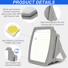 200W LED Explosion Proof Flood Light, 26000LM 5000K, Class I Division 2