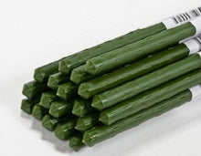 Panacea Green Coated Metal Plant Stakes 2 ft - Quantity 500
