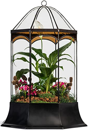 H Potter Large Eight-Sided Wardian Case Terrarium