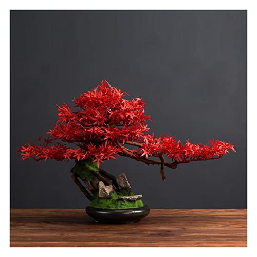 YXIANG56Q Fake Plants Articial Bonsain Tree Artificail Plants Potted Tree 25cm in Width Artificial House Plants Maple Tree Bonsai Fake Plant for Home Room Decor Bonsai Tree(A)