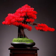 YXIANG56Q Fake Plants Living Room Simulation Plant Bonsai Indoor Greenery Potted Plants Large Fake Tree Desktop Landscape Decoration Ornaments Bonsai Tree