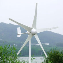 OLONETO 2000W Wind Turbine Kit 12V 24V 48V 5 Blade Wind Turbine Generator and Hybrid MPPT Controller Home Wind and Solar Hybrid Power Generation System (Color : 12V)