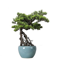 YXIANG56Q Fake Plants Artificial Bonsai Tree, Potted Artificial House Plants, Fake Plant Decoration, Japanese Pine for Desktop Zen Garden Home Office Decor, Height 26'' Bonsai Tree