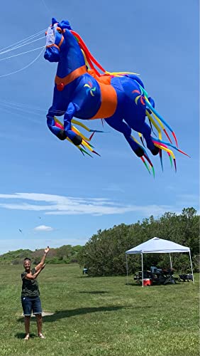Ruiyang Giant Horse Kite Pendant Adult Soft Inflatable Nylon Blue