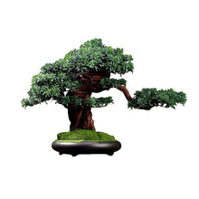 YXIANG56Q Fake Plants Living Room Simulation Plant Bonsai Indoor Greenery Potted Plants Large Fake Tree Desktop Landscape Decoration Ornaments Bonsai Tree