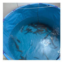 Rygcrud PVC Canvas Ponds with Frame, Standing Aquarium for Koi/Goldfish Holding Tank Above Ground Pool Water Storage Tank(2x0.8 m)