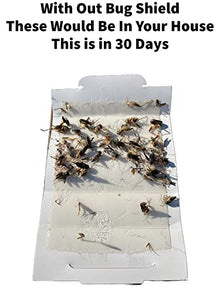 Bug Shield Sticky Glue Traps 12 Pack Glue Boards, Bulk Pack 50 Boxes / 600 Bug Traps. All Types of Incets, Spiders, Cockroaches, Ants, Cave Crickets, and More.Professional Strength Glue.