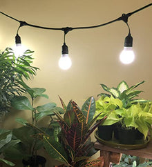 Miracle LED Un-Edison Energy Miser Plant-to-Plant Grow Light Kit Full Spectrum Bulbs Replacing 60W (4-Pack) with SproutMatic Grow Light Timer (609873)