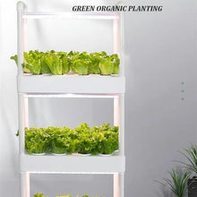 FLTRGO Herb Garden kit,hydroponic Growing Kits & Systems,Hydroponics Tower with LED Grow Light,Indoor Garden hydroponic Growing System,for Herbs, Fruits and Vegetables.