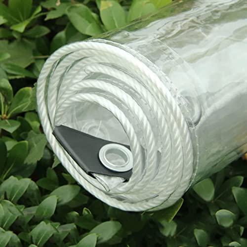 DIOB PVC Transparent Tarpaulin with Eyelets Home Garden Outdoor PVC Plastic Tarp Sheet Cover Tear Resistant for Garden, Gazebo (Size : 4X5m)