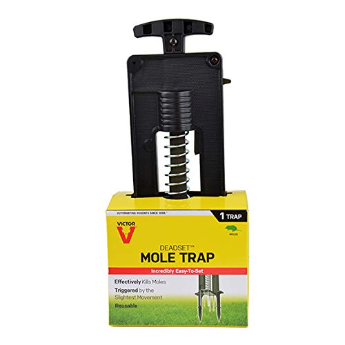 Victor Traps Deadset Mole Trap M9015 24-Pack