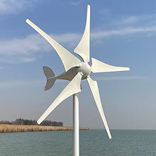 NINILADY New Arrivel Low Noise 600W 12V 24V 48V Wind Turbine 5 Blades with MPPT Controller Wind Generator for Home Free Energy (24v with Controller)
