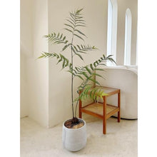 Plants Artificial Fern Bonsai Simulation Greenery Indoor Decoration Ornaments Potted Plants with Pots Outdoors