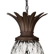 Bailey Street Home 4 Light Outdoor Hanging Lantern Bronze