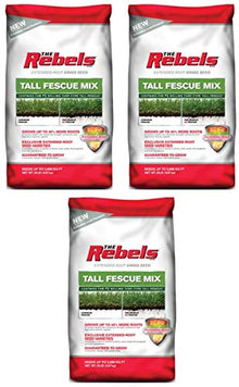 Rebel Fescue Grass Seed, 20-Lbs.