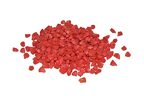 Hancock's Jackpot Sweet Bi-Color Corn Seed - 10 lbs.