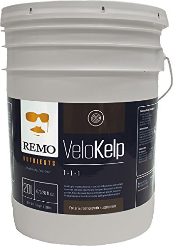 Remo Velokelp 20L