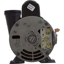 Waterway 3420610-1A Spa Pump Side Discharge