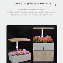FLTRGO Indoor Gardening System,Aeroponics Growing Kit,Indoor Garden Hydroponic Growing System,hydroponic Indoor Garden,with Hydrating Pump, Adapter, Net Pots, Timer.