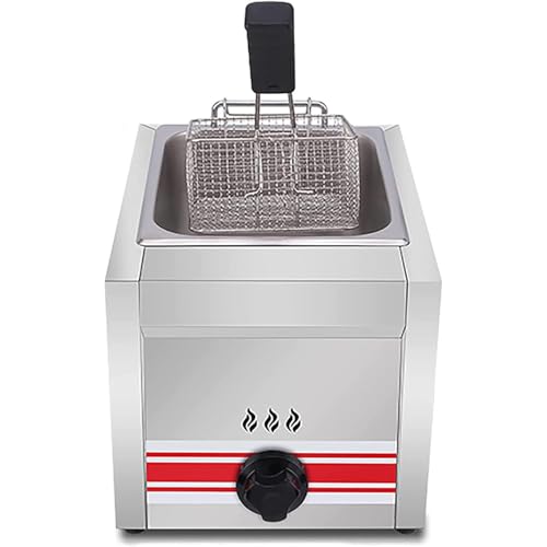 CVGfko Stainless Steel Fryer Large Capacity Fryer for Home and Commercial Use/Adjustable Firepower/Baskets and Lids Included/Perfect for Chips,Onion Rings,10L