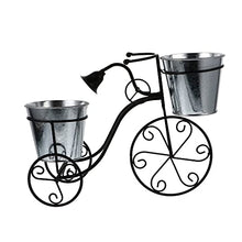 TBNLASS 1PC Iron Art Bike Plant Stand Exquisite Flower Pot Shape Holder