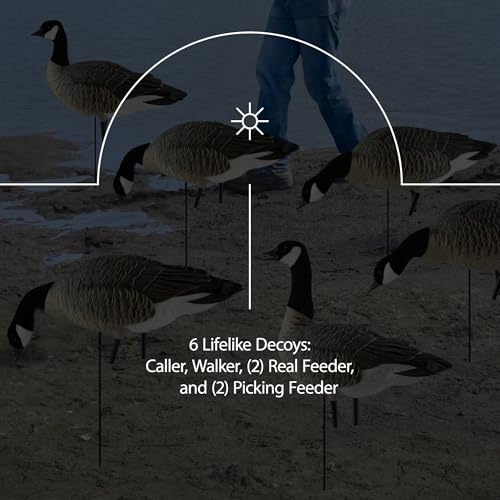Avian-X AXP Honkers Fusion Pack Lesser Goose Decoys 5+6 Piece Set