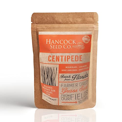 Hancock's Centipede Grass Seed - Coated - 50 lbs.