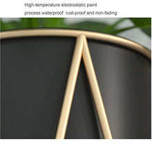 iumLeap 2-Pack Flower Stand,Living Room Iron Flowerpot Balcony Decorate Shelf,Hall Simple Succulent Plants Floor-Standing Rack Outdoor