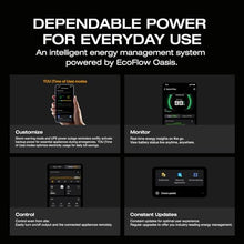 EF ECOFLOW Portable Power Station DELTA 3 with Extra Battery, 2048Wh 1800W