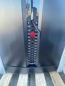 French Fitness FFS Silver Glute Machine